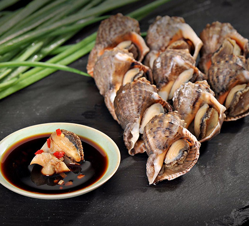 東港玉螺哪家好 東港玉螺哪家好